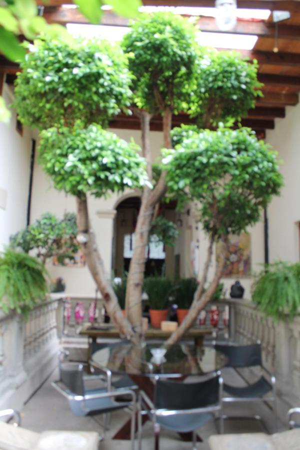 מקסיקו סיטי Guest House Aldama מראה חיצוני תמונה